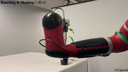 Tomato.gif